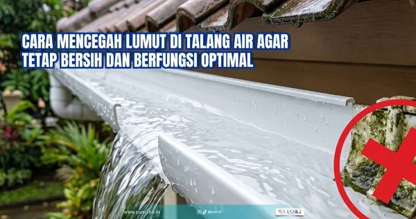 Cara Mencegah Lumut di Talang Air agar Tetap Bersih dan Berfungsi Optimal